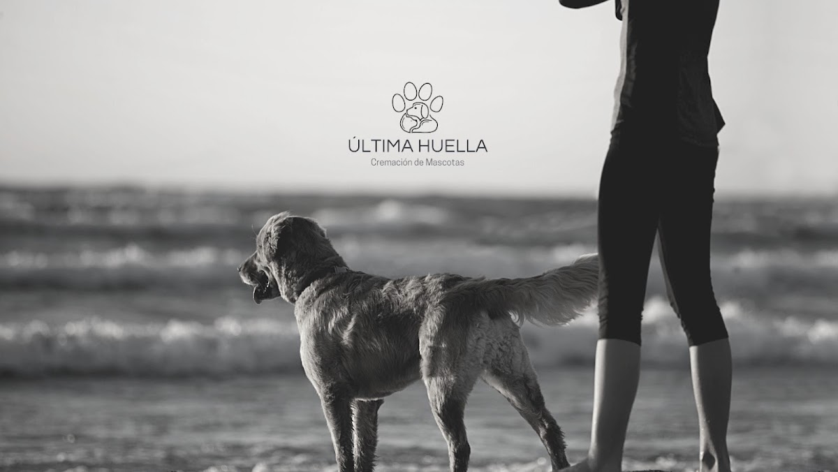 Funeraria Crematorio de mascotas Última Huella (oficina)